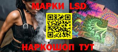 Альфа ПВП Кингисепп