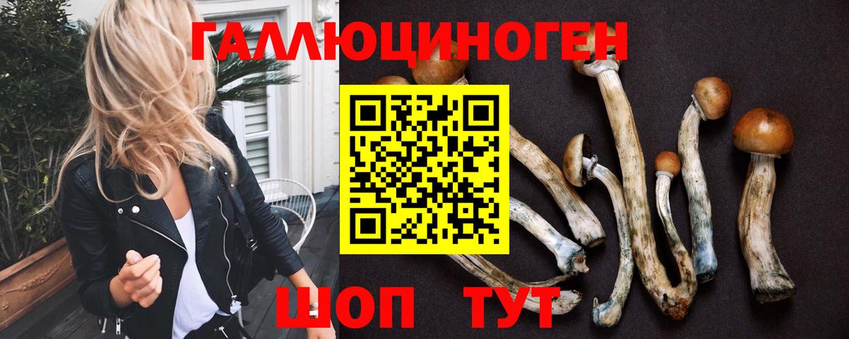 Псилоцибиновые грибы Psilocybine cubensis  Галлюциногенные грибы Psilocybe  Вход с VPN  Котлас 