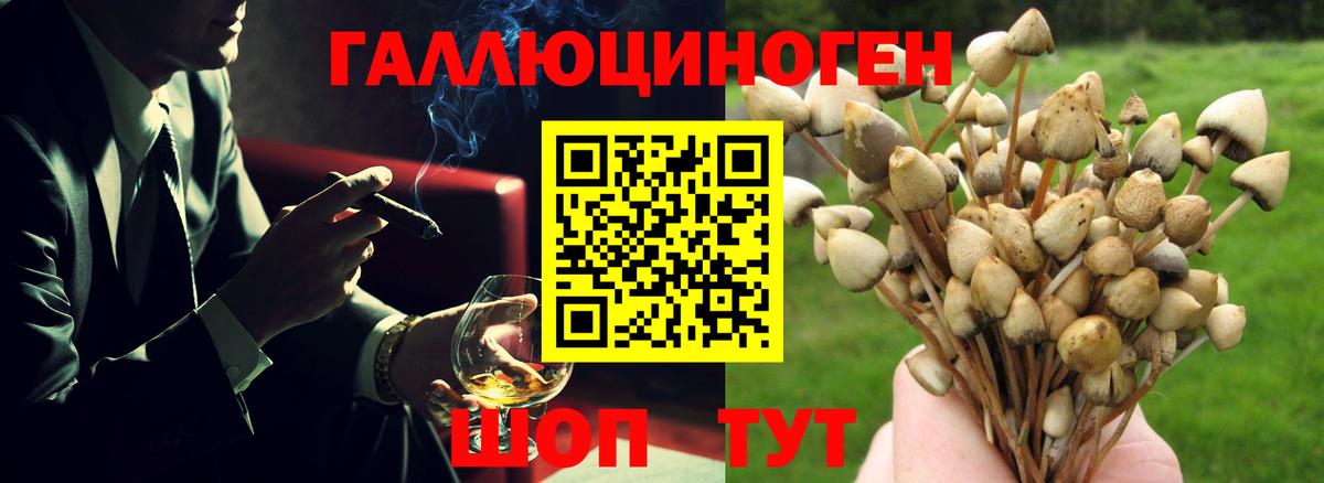 Галлюциногенные грибы GOLDEN TEACHER Котлас