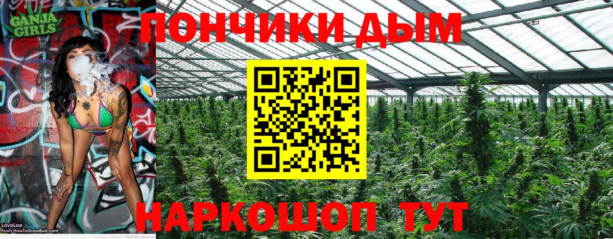 Марихуана индика Котлас